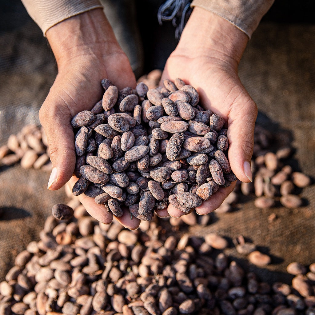 シュガーフリー アーモンド チョコレート