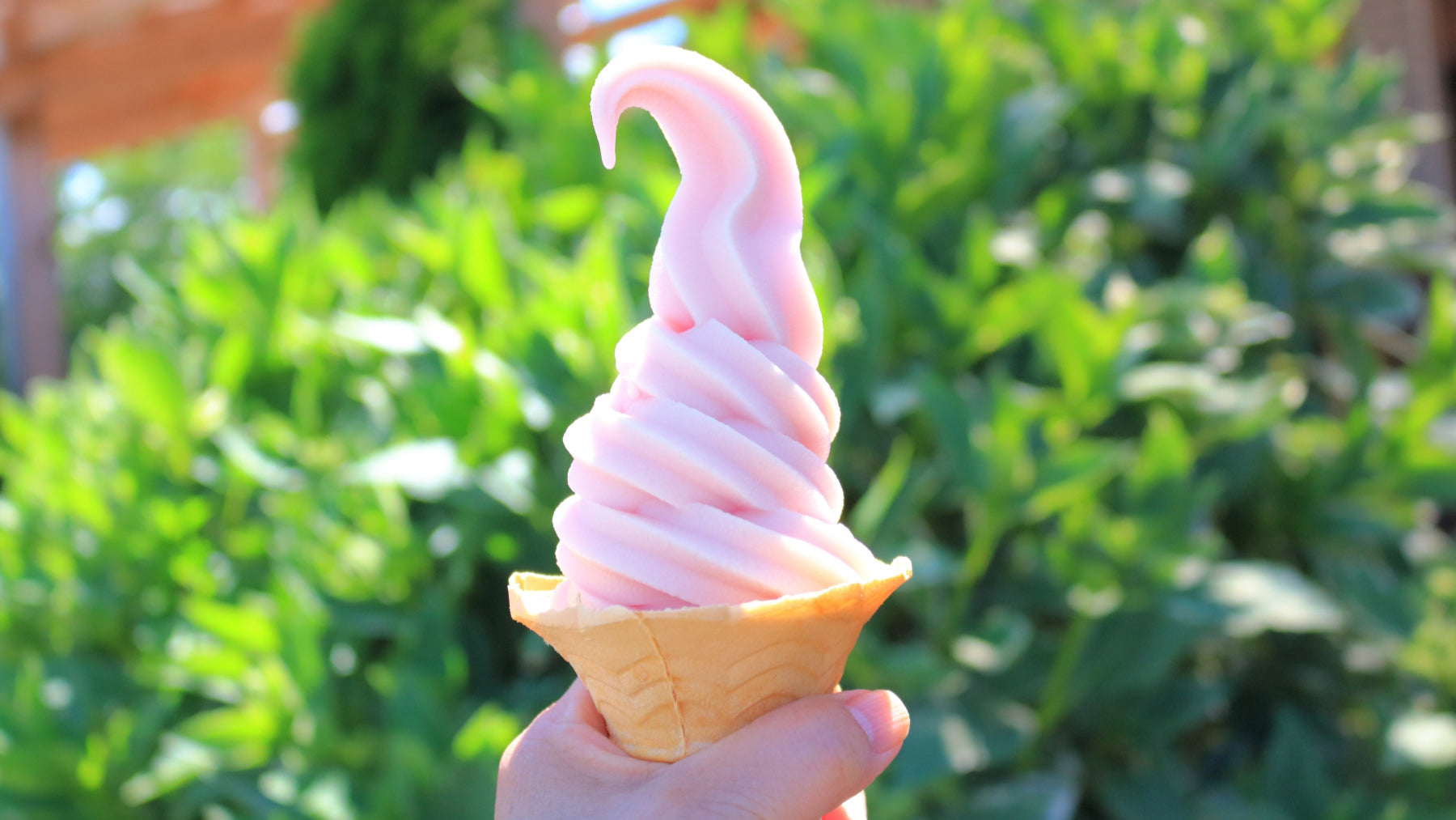 夏は糖質を摂りすぎ？低糖質スイーツという新しい選択肢